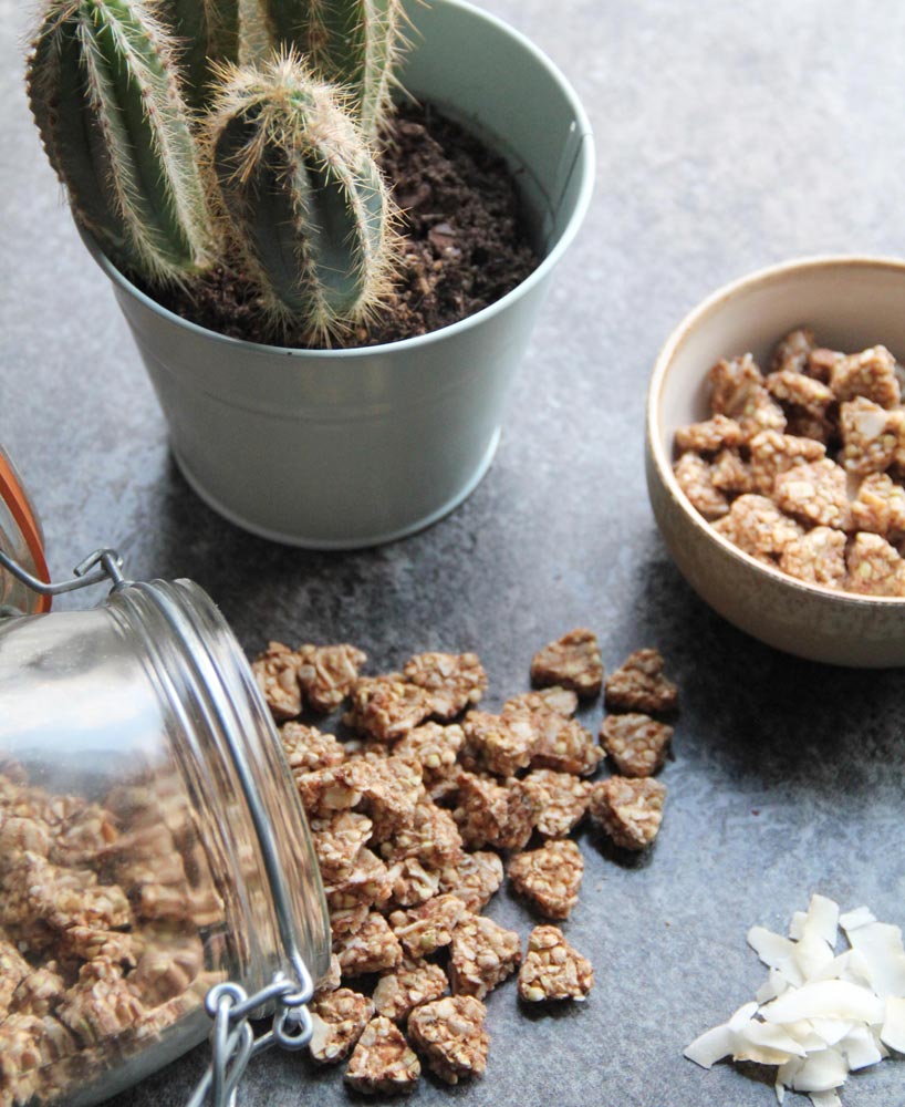 Qu'est ce que le granola ? Guide du granola Les Fruits Détendus